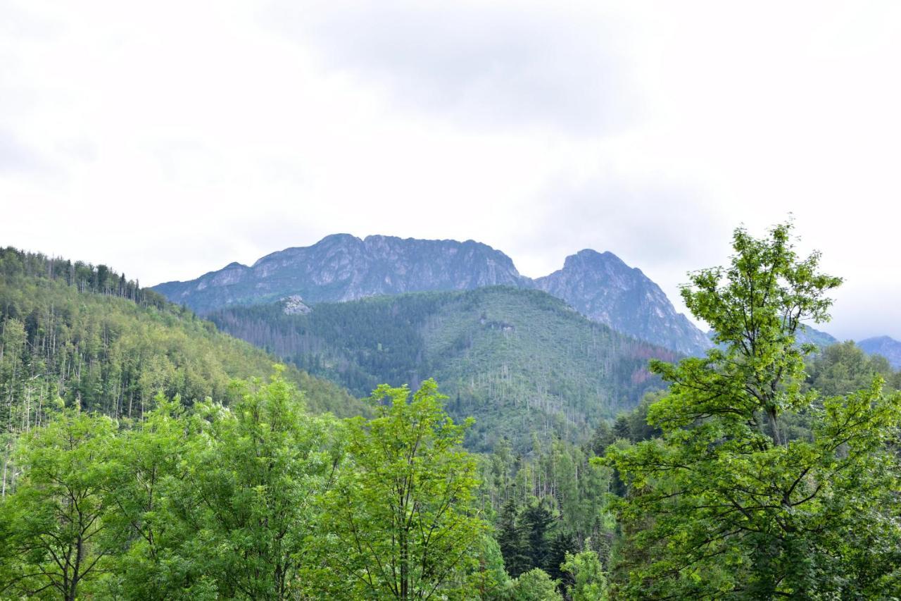 Willa Halka Bed & Breakfast Zakopane Exterior photo